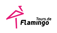 flamingotours-logo-color